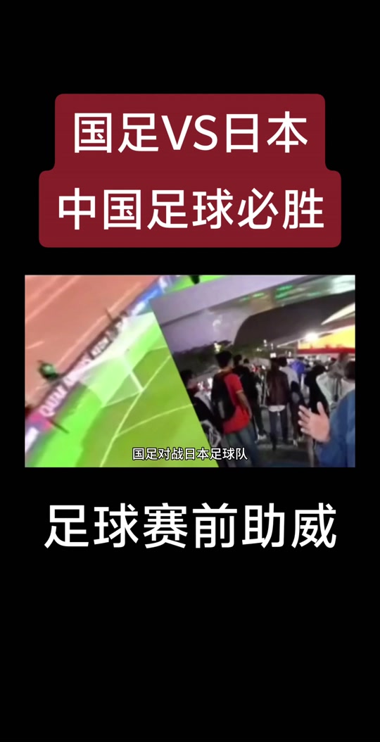 球迷热情欢呼球队斗志高涨战绩稳定(球迷狂欢)